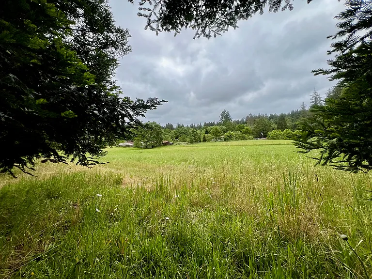 Green Hill Rd — Photo 39