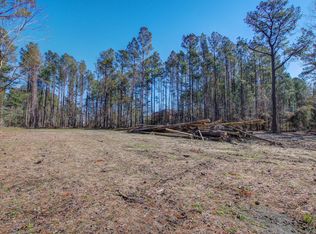 1203 Red Buckeye Ct, Moncks Corner, SC 29461