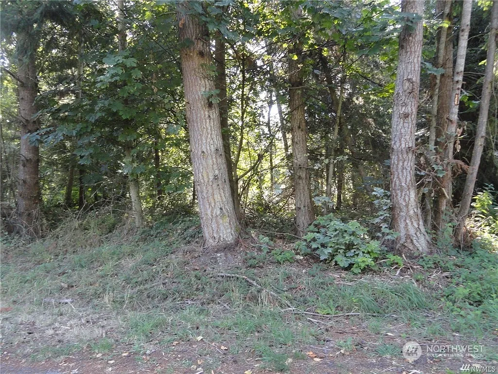 0 Aspen Drive photo 1