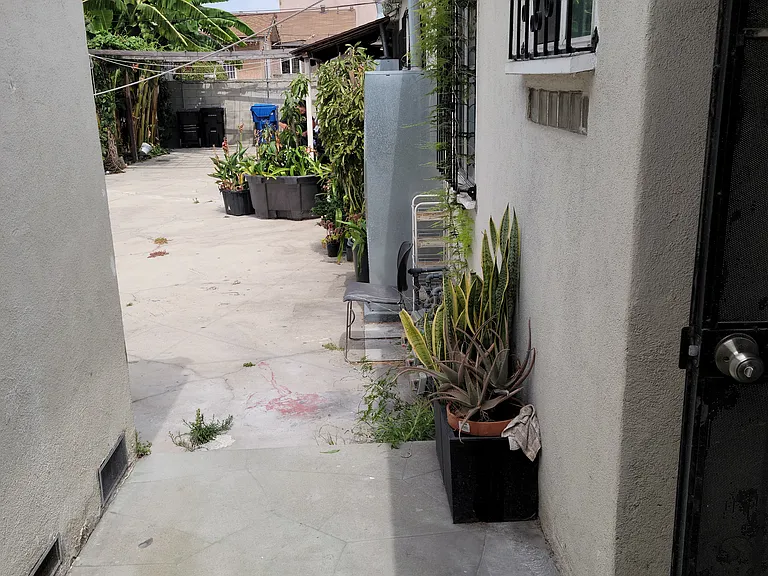 Shared rear patio