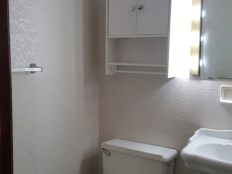 Hall bathroom.