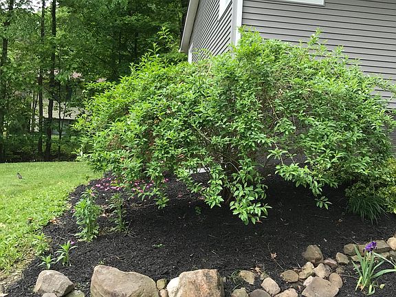 2nd image of 6611 Greenbrier Dr
