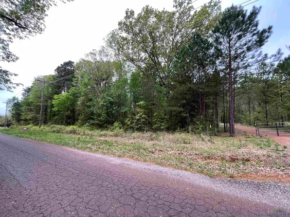 Tbd Maple Springs Rd, Hallsville, TX 75650