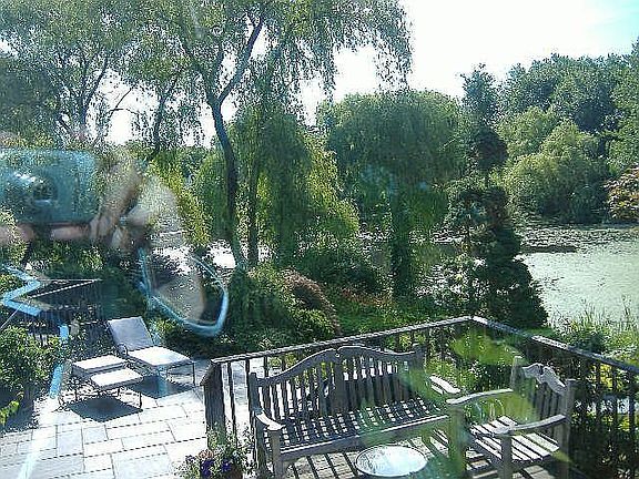 fresh water pond setting