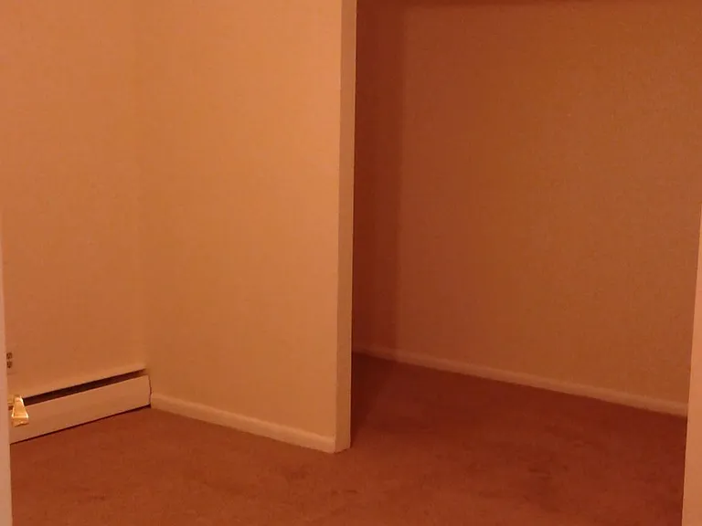 Lower level bedroom alcove with walk in closet on right side