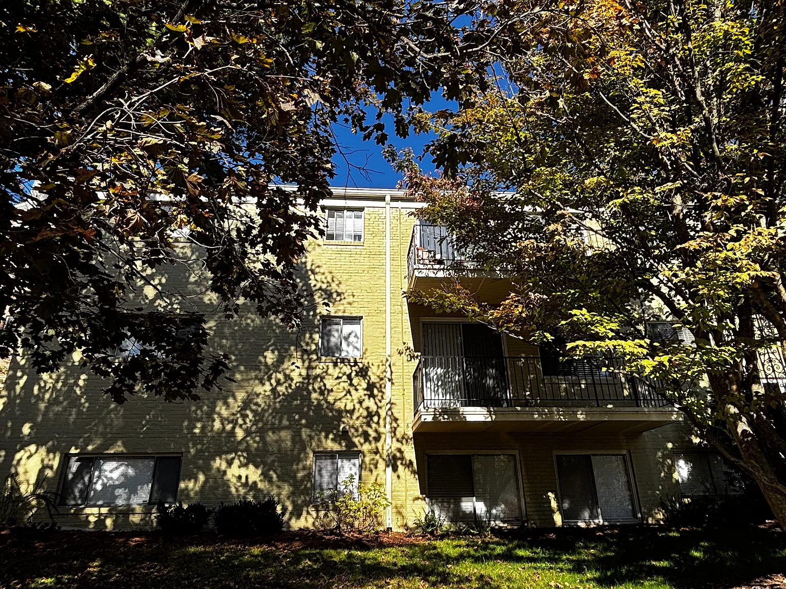 1 bed, 788 sqft, $1,900 — Photo 2