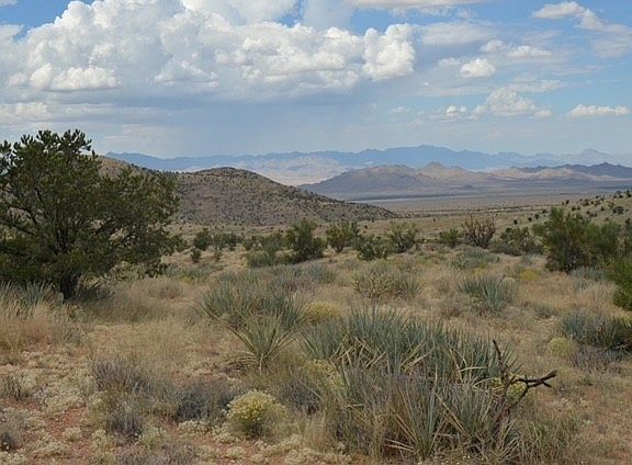 3rd image of Corral Rd