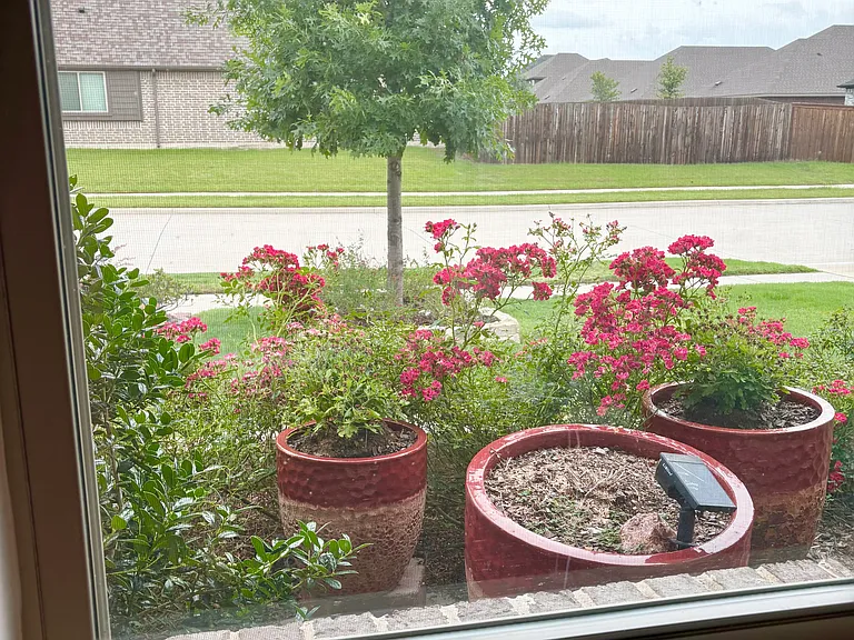 View out the front bedroom/office window.