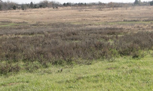 2nd image of 5320 Highway 84 W