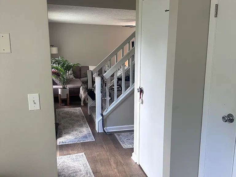 1087 Cane Patch — Photo 12