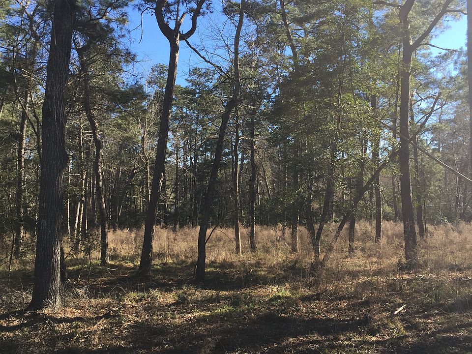 2nd image of 91 Lake Forest Circle