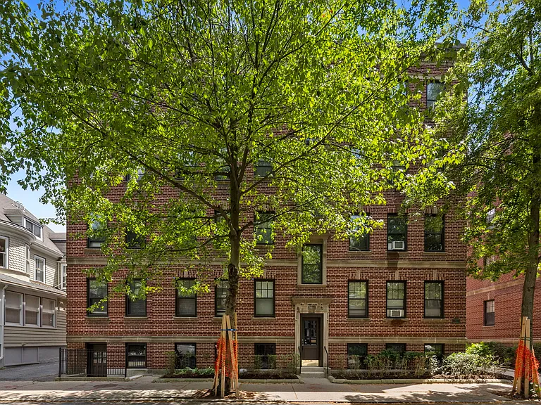 36 Linnaean St #2 — Photo 13