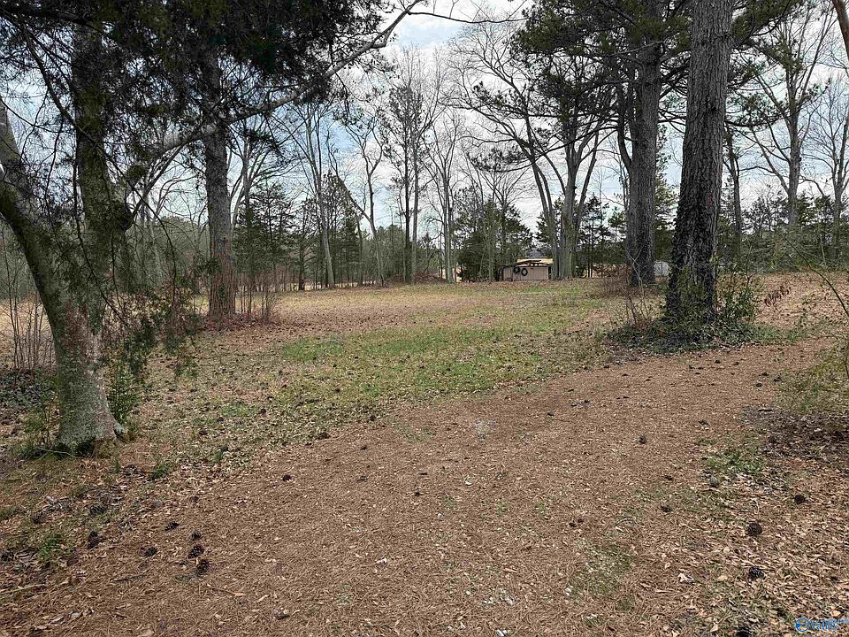 2nd image of 206 Pine Lake Dr