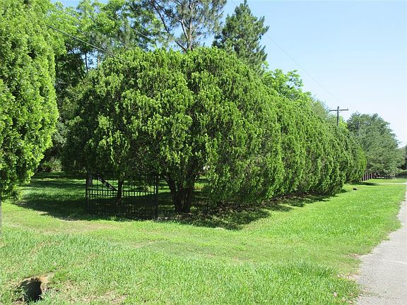 View from Pecan Drive.