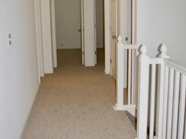 17163 Blue Mist Grv — Photo 8