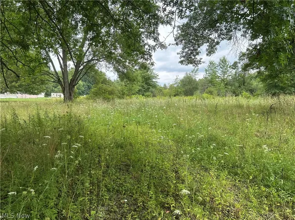 8670 Fortney Rd, Orwell, OH 44076