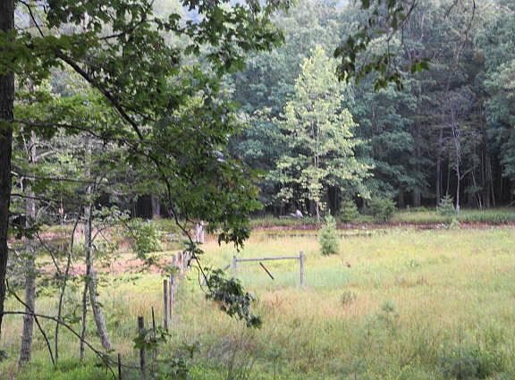 5th image of Deerfield Rd