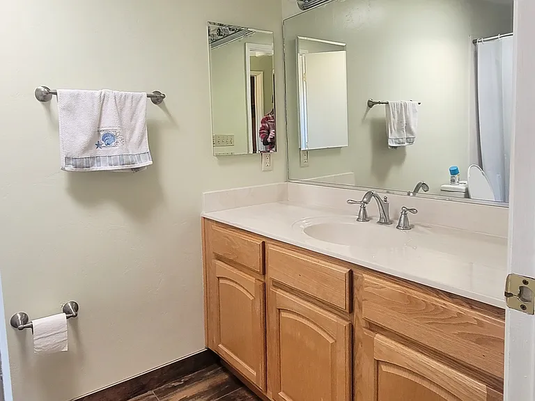 Primary Bath Vanity