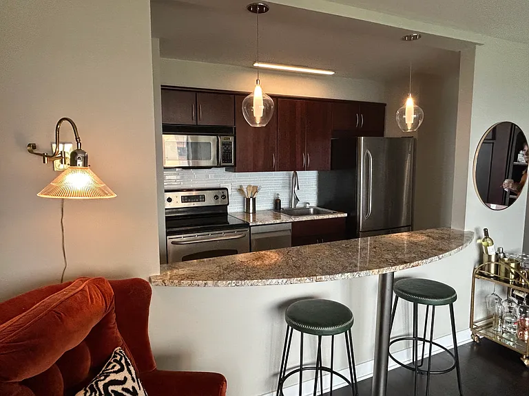 3100 N Lake Shore Dr #1212 — Photo 7