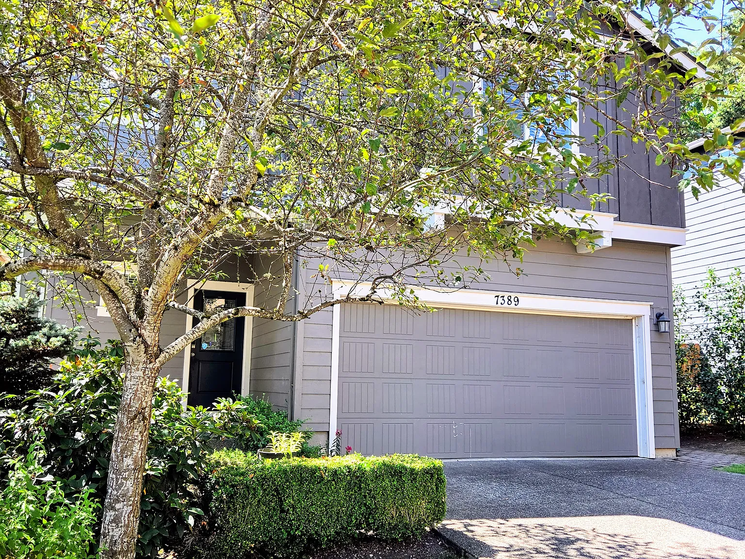 4 bed, 2.5 bath, 2297 sqft, $3,250 — Photo 3
