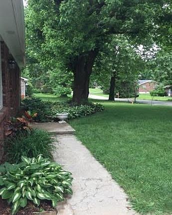 2nd image of 279 Royal Pkwy