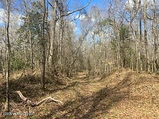 5th image of Turkey Creek Rd Lot 12