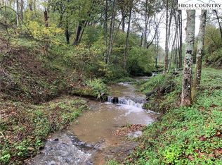 Tbd Albert Phipps Rd, Crumpler, NC 28617