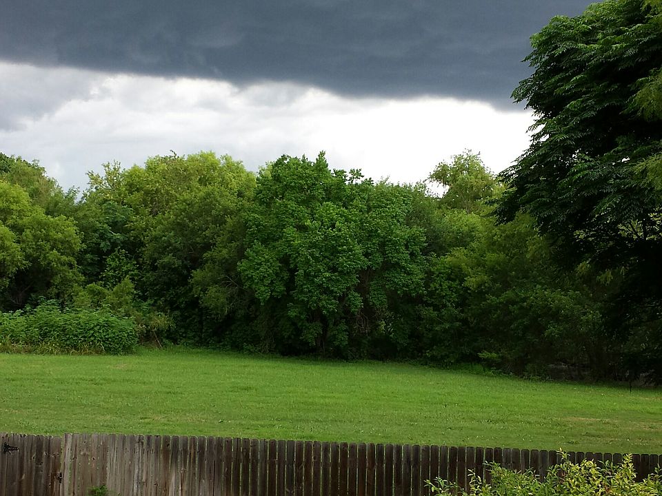 Backyard from Covered Patio