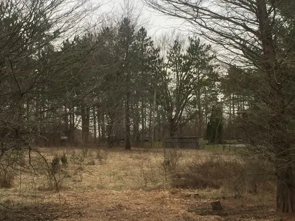 12422 W Raymond Dr, Mokena, IL 60448