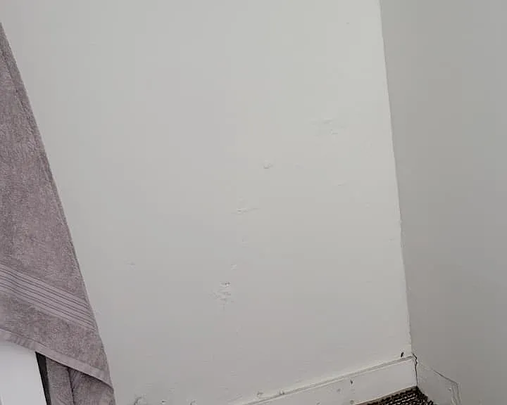 123 N Front St #1 — Photo 9