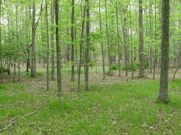 0 Bullpasture River Rd, Mc Dowell, VA 24458