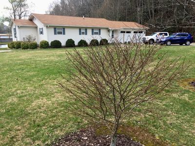 167 Kadie, Topton, NC, 28781