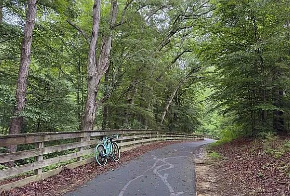 Tree-lined paved path with wooden fencing, offering a peaceful outdoor setting for walks or biking.