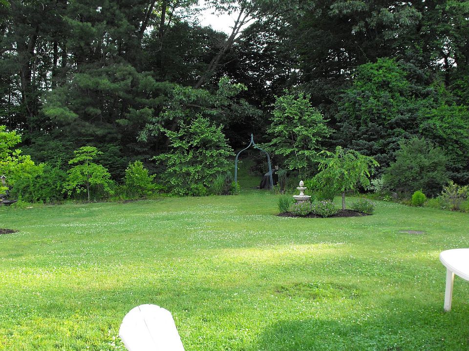 back yard-privacy galore