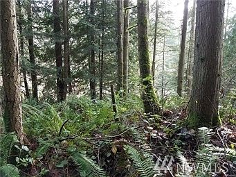 2nd image of 116 296th Ave NE