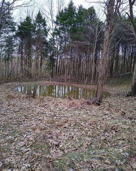 2nd image of 992 Hudgins Rd