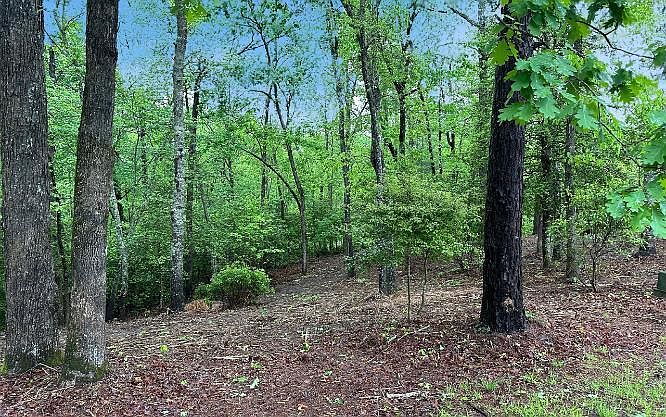 1st image of LOT 7 Brasstown Vw