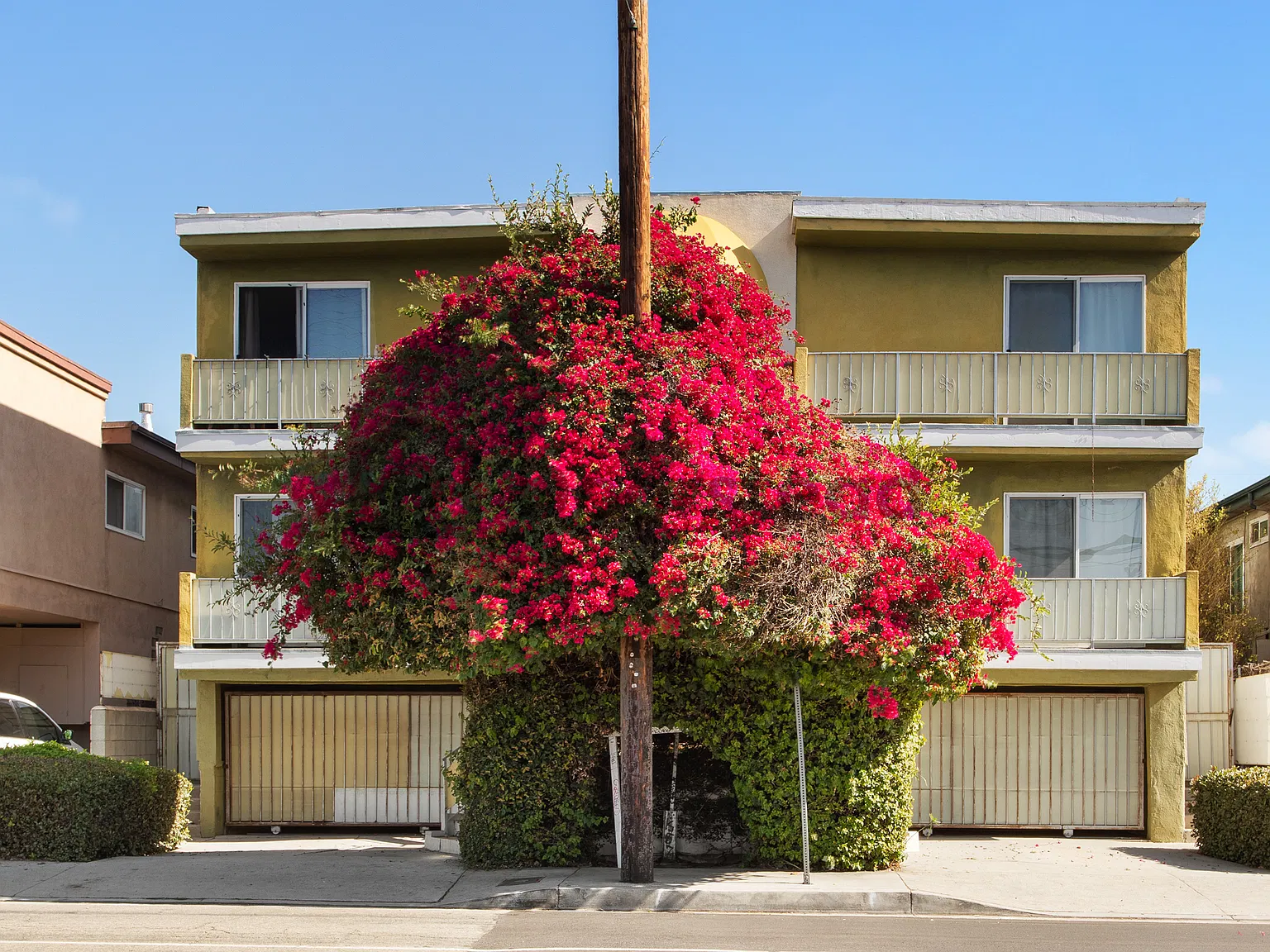 2 bed, 1.5 bath, 1100 sqft, $2,850 — Photo 3