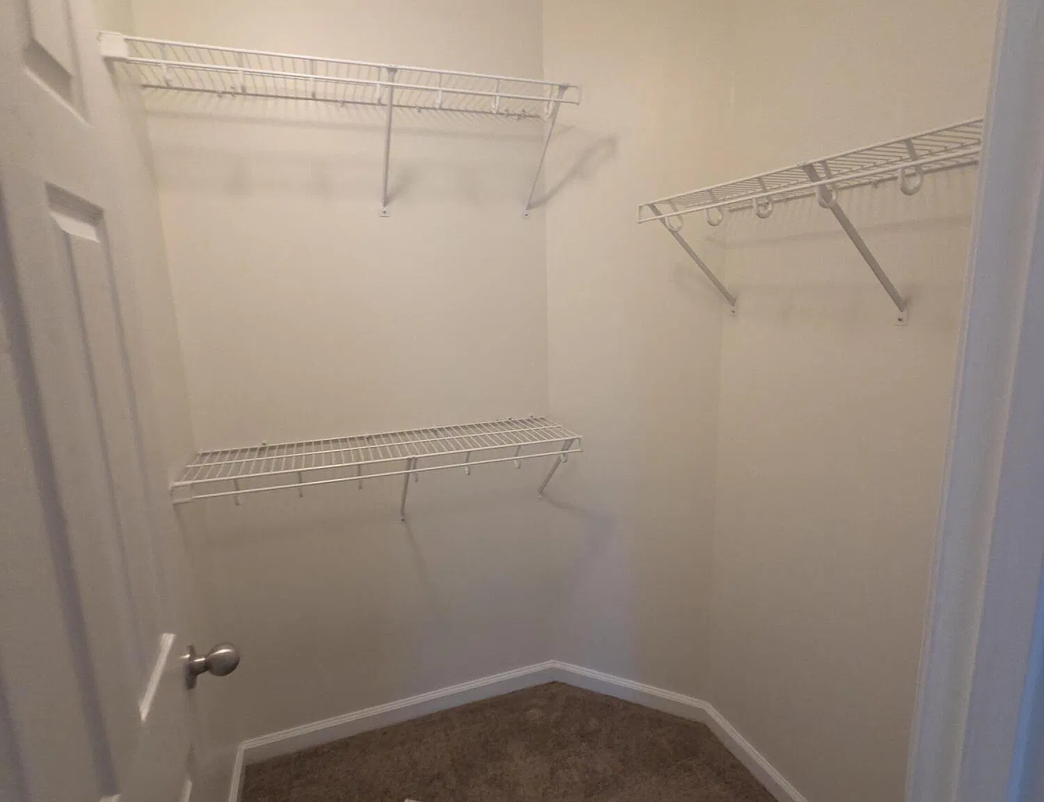 3 bed, 2.0 bath, 1260 sqft, $1,795 — Photo 4