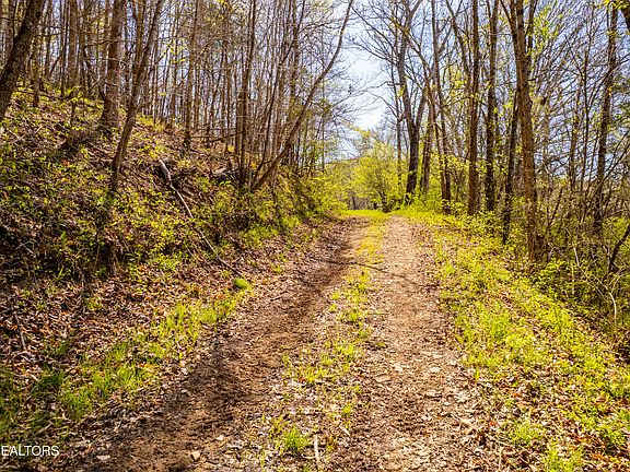 4th image of 596 Byrams Fork Rd
