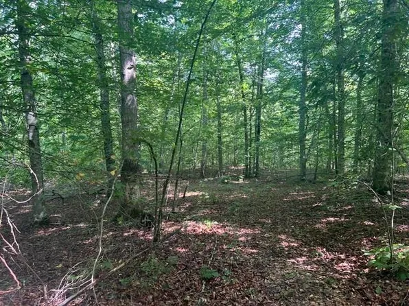 524 Scott Ridge Rd, Edmonton, KY 42129