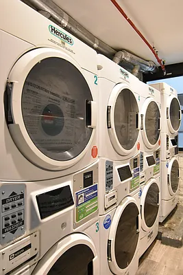 Rented by Bold New York | media 2