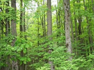 0 Larue Rd, Spencer, NY 14883