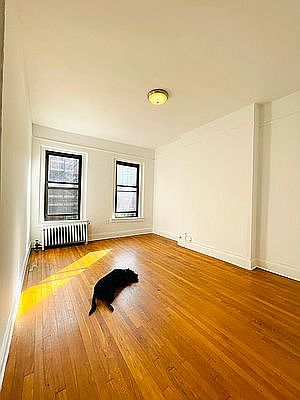 4th image of 337 E 88th St APT 5A
