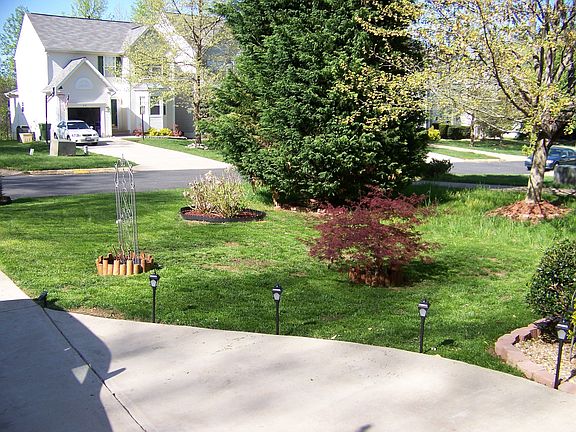 Front Yard