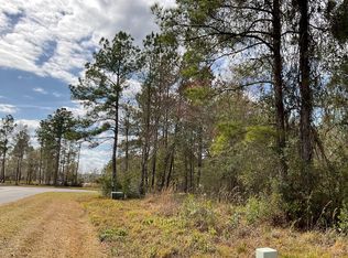 165 NW Mossy Oak Way, Lake City, FL 32055