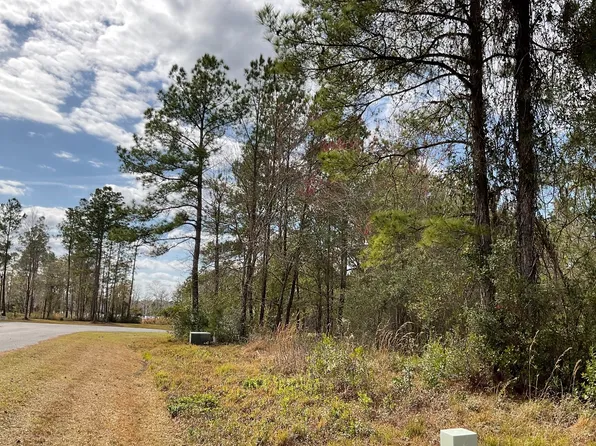 165 NW Mossy Oak Way, Lake City, FL 32055