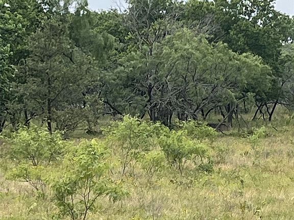 5th image of W Highway 84