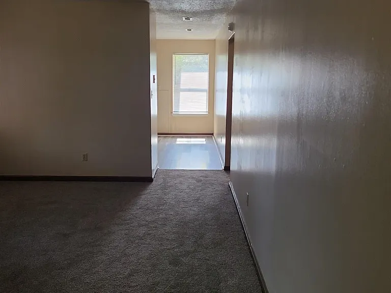 7924 Deborah Dr — Photo 4