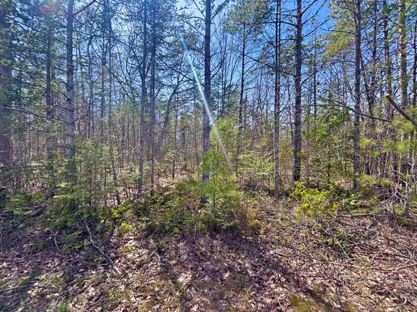 LOT 375 Kauffman Rd, Presque Isle, MI 49777